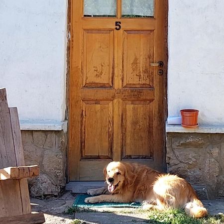 Willa Buena Onda I San Martín de los Andes Zewnętrze zdjęcie