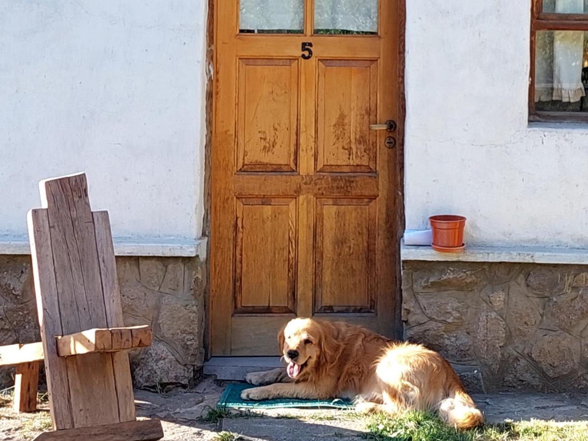 Willa Buena Onda I San Martín de los Andes Zewnętrze zdjęcie